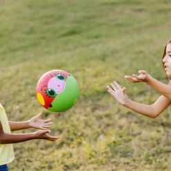 Bollie Ladybug Kickball><noscript><img width=