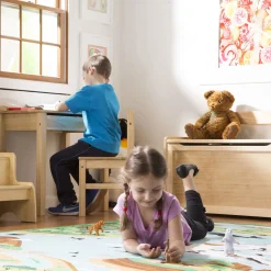 Child's Lift-Top Desk & Chair - Honey><noscript><img width=