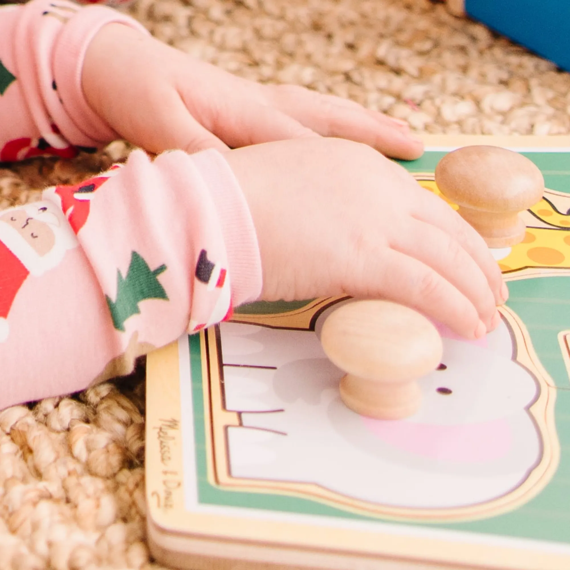 Jungle Friends Jumbo Knob Puzzle - 3 Pieces>Melissa & Doug