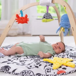 Ocean Easy-Fold Play Gym><noscript><img width=