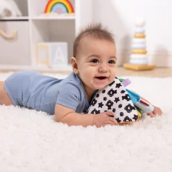 Ocean Tummy Time Triangle Baby Toy><noscript><img width=