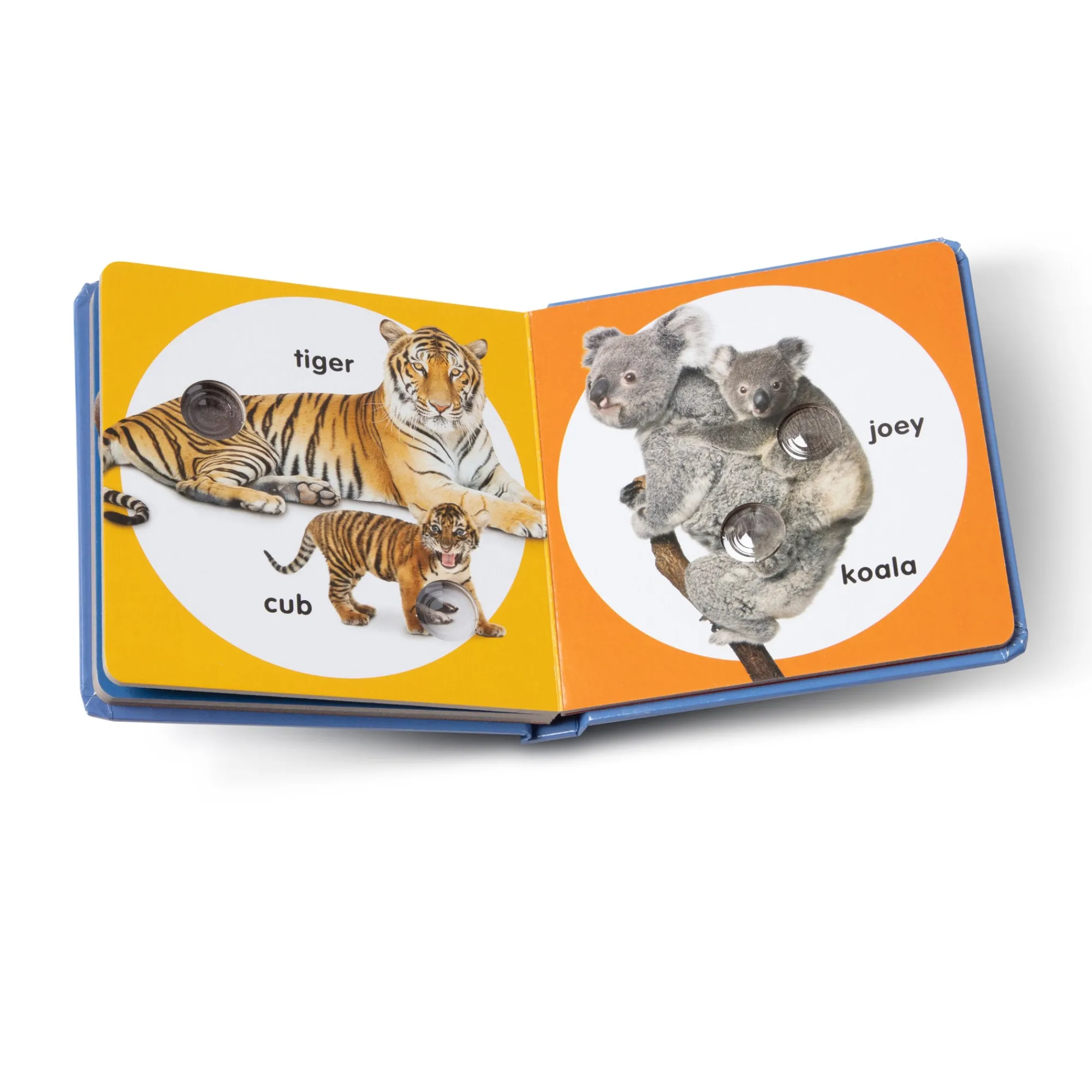 Poke-a-Dot: Wild Animal Families Board Book>Melissa & Doug Outlet