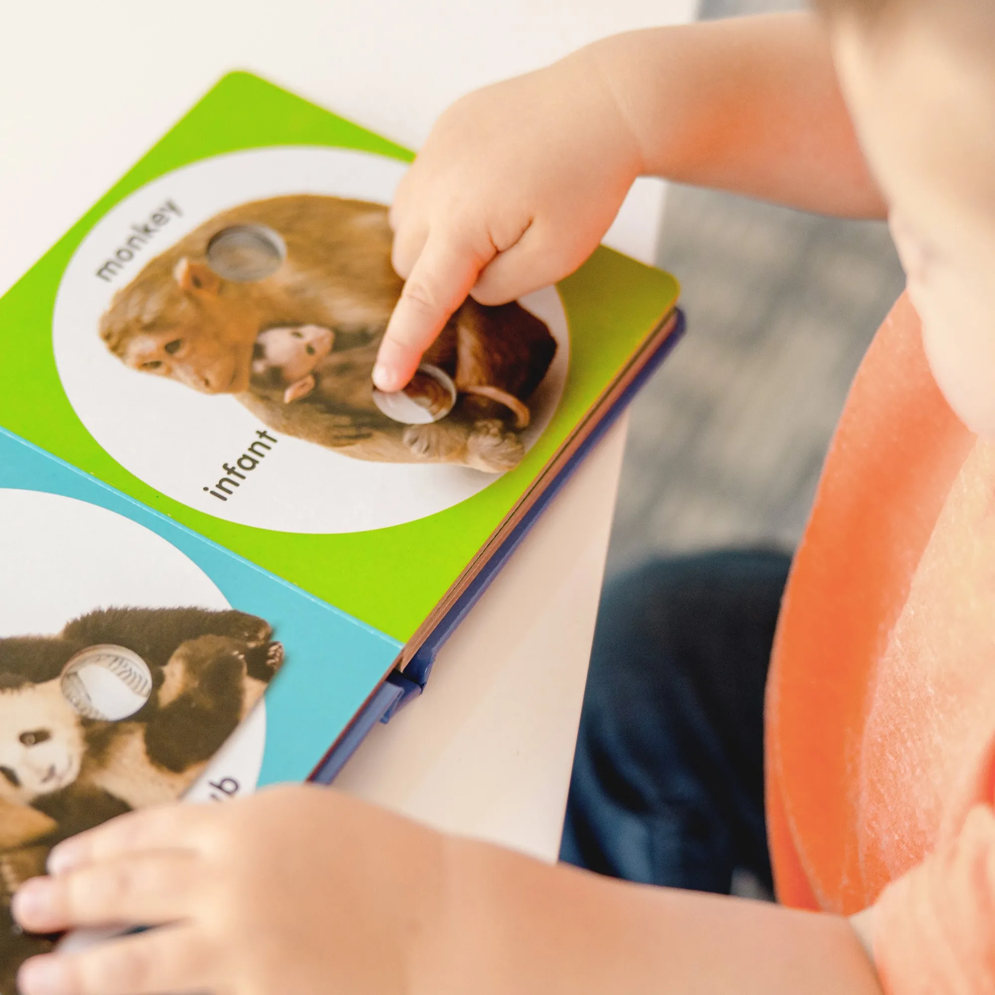 Poke-a-Dot: Wild Animal Families Board Book>Melissa & Doug Outlet