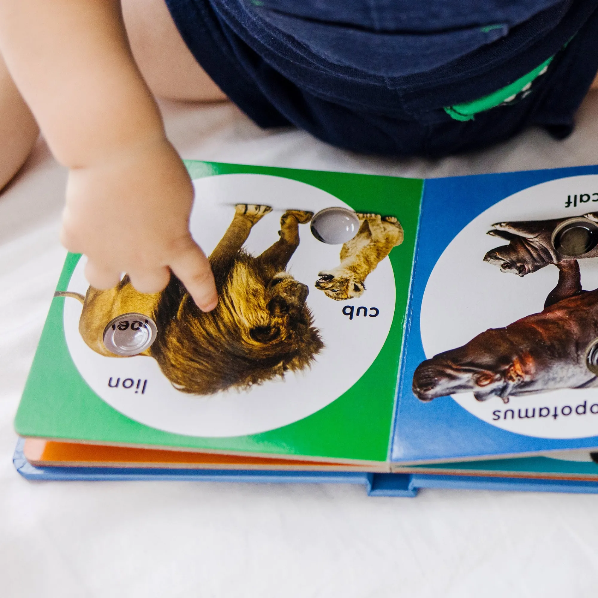 Poke-a-Dot: Wild Animal Families Board Book>Melissa & Doug Outlet
