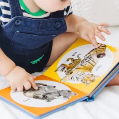 Poke-a-Dot: Wild Animal Families Board Book><noscript><img width=