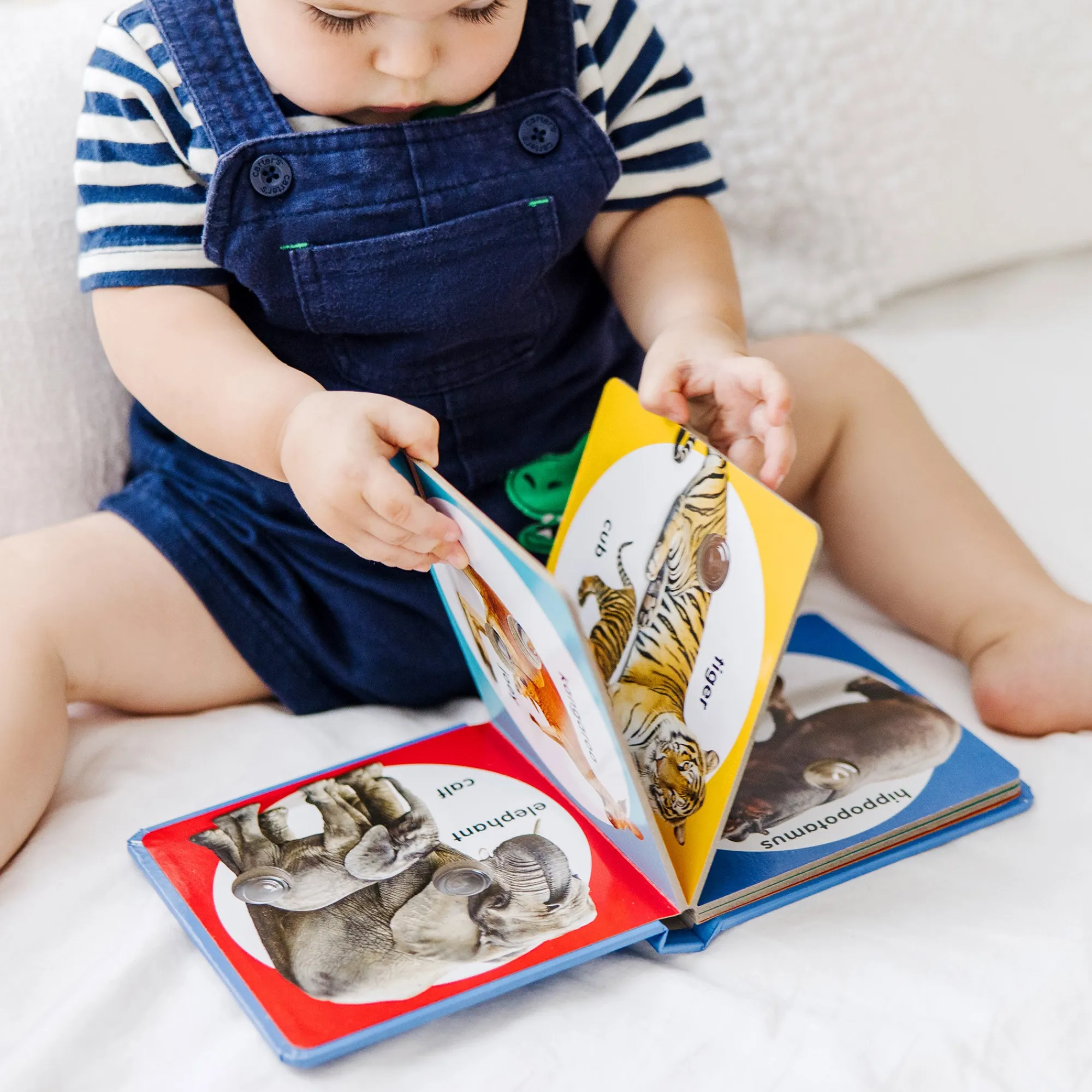 Poke-a-Dot: Wild Animal Families Board Book>Melissa & Doug Outlet