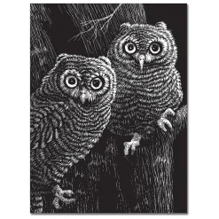 Scratch Art Black Coated 12 pt. Scratchboards (12 boards)><noscript><img width=