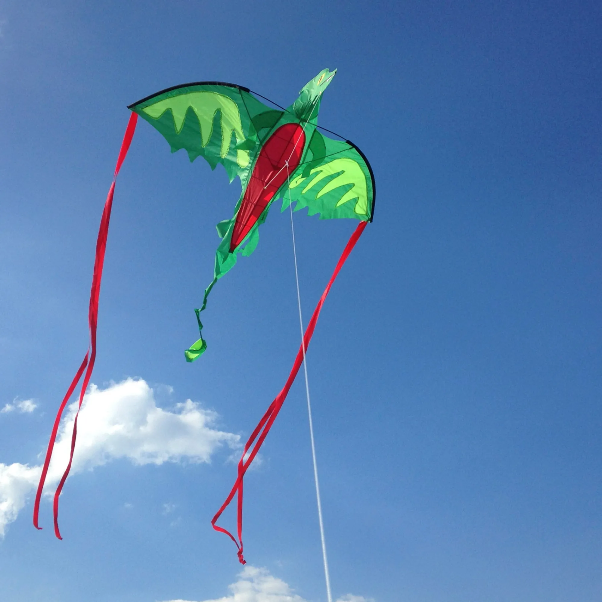 Winged Dragon Shaped Kite>Melissa & Doug